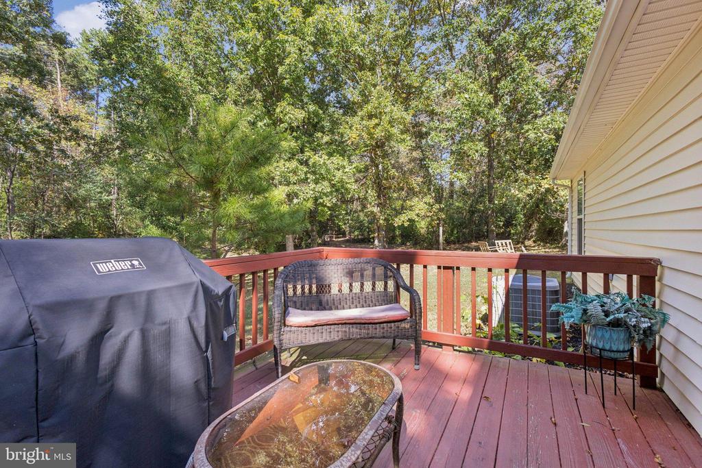 10019 PINE CONE LN, CULPEPER, Virginia 22701, 3 Bedrooms Bedrooms, ,2 BathroomsBathrooms,Residential,10019 PINE CONE LN,VACU2011784 MLS # VACU2011784