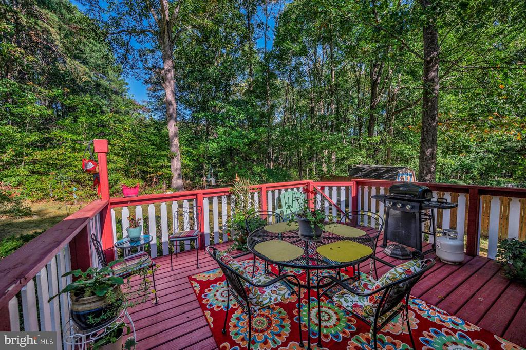 844 STONEWALL LN, FREDERICKSBURG, Virginia 22407, 3 Bedrooms Bedrooms, ,2 BathroomsBathrooms,Residential,844 STONEWALL LN,VASP2036886 MLS # VASP2036886