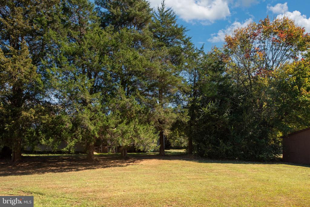 12357 PAMUNKEY CT, ORANGE, Virginia 22960, 3 Bedrooms Bedrooms, ,1 BathroomBathrooms,Residential,12357 PAMUNKEY CT,VAOR2012524 MLS # VAOR2012524