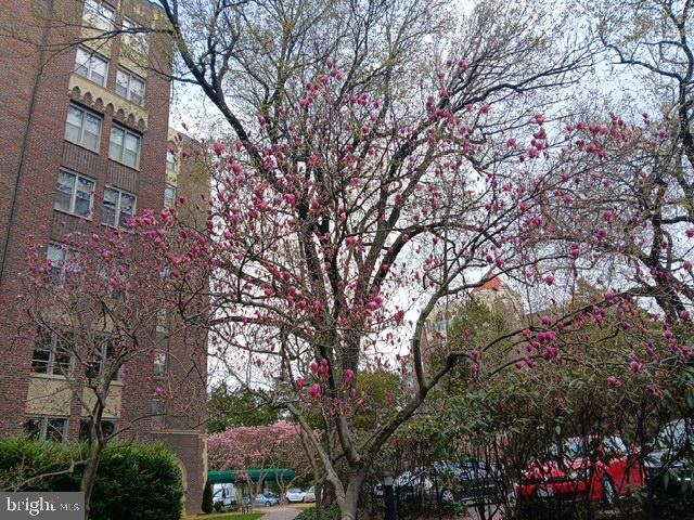 4000 CATHEDRAL AVE NW #607B, WASHINGTON, District Of Columbia 20016, 1 Bedroom Bedrooms, ,1 BathroomBathrooms,Residential,For sale,4000 CATHEDRAL AVE NW #607B,DCDC2225980 MLS # DCDC2225980 4000 CATHEDRAL AVE NW #607B, WASHINGTON, District Of Columbia 20016, 1 Bedroom Bedrooms, ,1 BathroomBathrooms,Residential,For sale,4000 CATHEDRAL AVE NW #607B,DCDC2225980 MLS # DCDC2225980