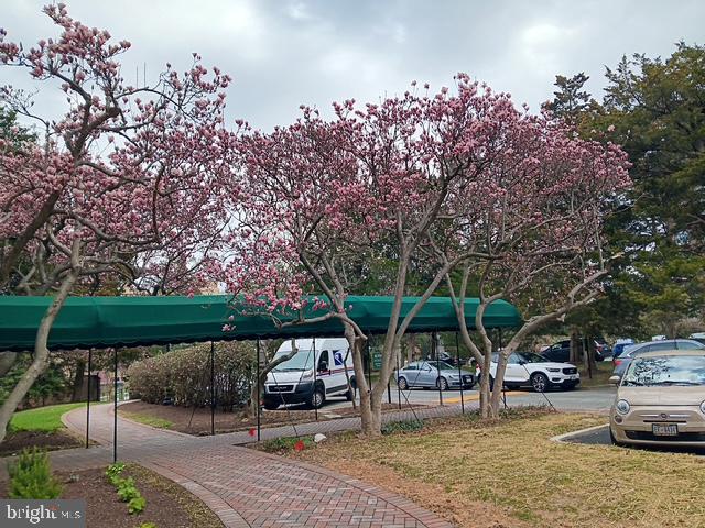 4000 CATHEDRAL AVE NW #607B, WASHINGTON, District Of Columbia 20016, 1 Bedroom Bedrooms, ,1 BathroomBathrooms,Residential,For sale,4000 CATHEDRAL AVE NW #607B,DCDC2225980 MLS # DCDC2225980 4000 CATHEDRAL AVE NW #607B, WASHINGTON, District Of Columbia 20016, 1 Bedroom Bedrooms, ,1 BathroomBathrooms,Residential,For sale,4000 CATHEDRAL AVE NW #607B,DCDC2225980 MLS # DCDC2225980