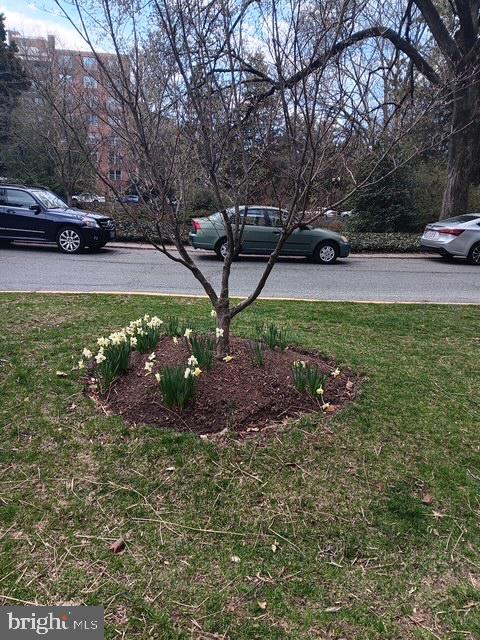 4000 CATHEDRAL AVE NW #607B, WASHINGTON, District Of Columbia 20016, 1 Bedroom Bedrooms, ,1 BathroomBathrooms,Residential,For sale,4000 CATHEDRAL AVE NW #607B,DCDC2225980 MLS # DCDC2225980 4000 CATHEDRAL AVE NW #607B, WASHINGTON, District Of Columbia 20016, 1 Bedroom Bedrooms, ,1 BathroomBathrooms,Residential,For sale,4000 CATHEDRAL AVE NW #607B,DCDC2225980 MLS # DCDC2225980