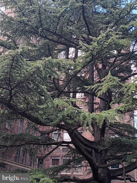 4000 CATHEDRAL AVE NW #607B, WASHINGTON, District Of Columbia 20016, 1 Bedroom Bedrooms, ,1 BathroomBathrooms,Residential,For sale,4000 CATHEDRAL AVE NW #607B,DCDC2225980 MLS # DCDC2225980 4000 CATHEDRAL AVE NW #607B, WASHINGTON, District Of Columbia 20016, 1 Bedroom Bedrooms, ,1 BathroomBathrooms,Residential,For sale,4000 CATHEDRAL AVE NW #607B,DCDC2225980 MLS # DCDC2225980