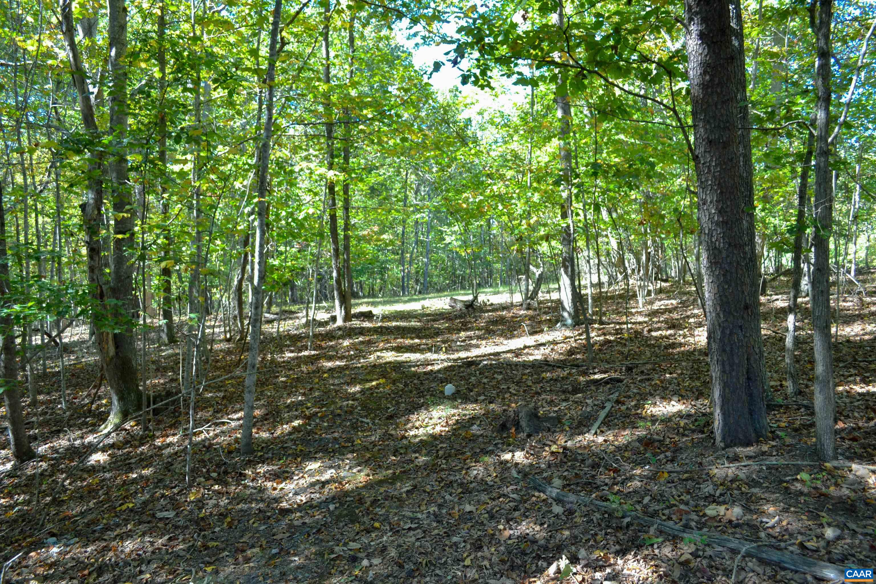 16070 BURNLEY RD, BARBOURSVILLE, Virginia 22923, 3 Bedrooms Bedrooms, ,2 BathroomsBathrooms,Residential,16070 BURNLEY RD,669960 MLS # 669960