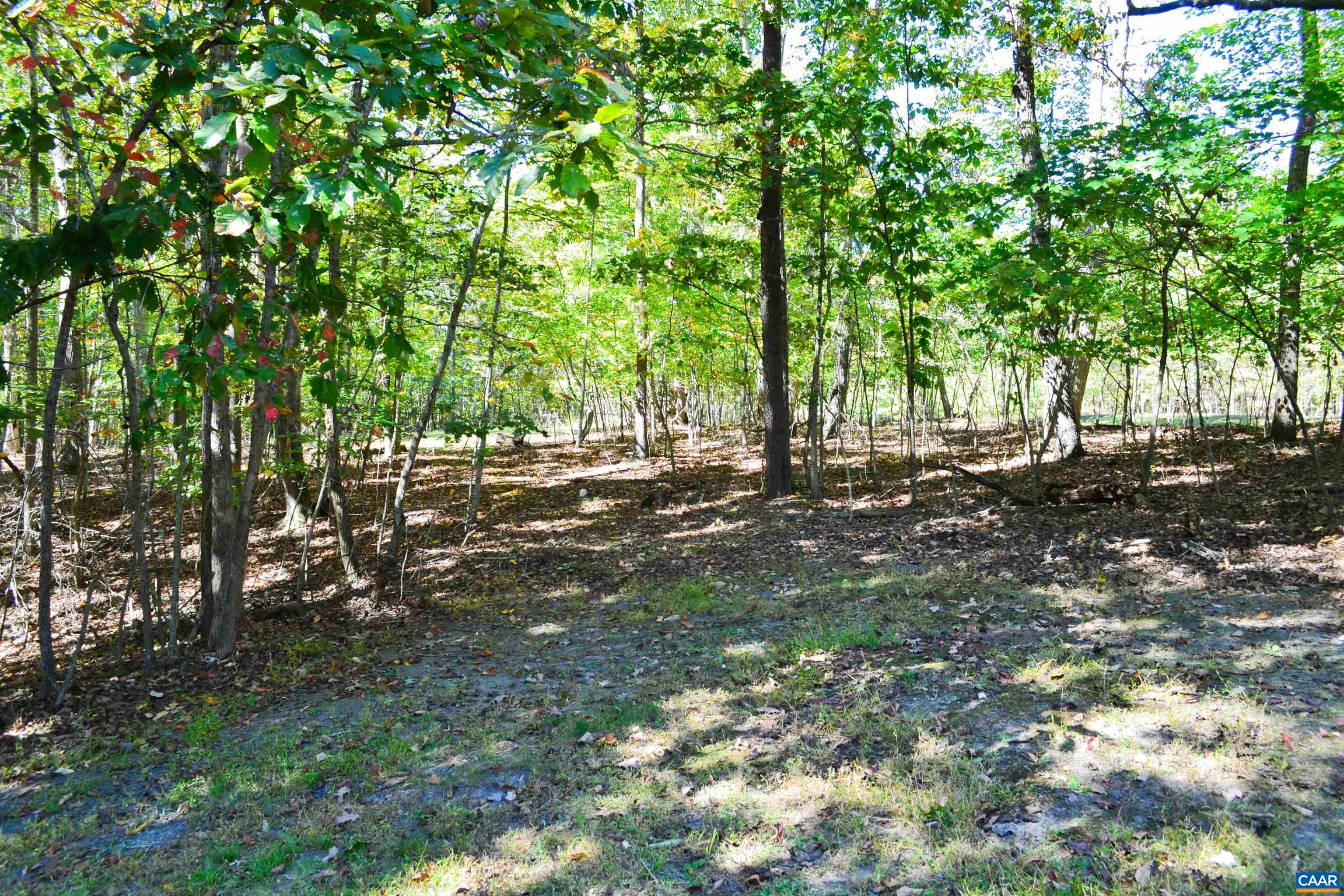 16070 BURNLEY RD, BARBOURSVILLE, Virginia 22923, 3 Bedrooms Bedrooms, ,2 BathroomsBathrooms,Residential,16070 BURNLEY RD,669960 MLS # 669960