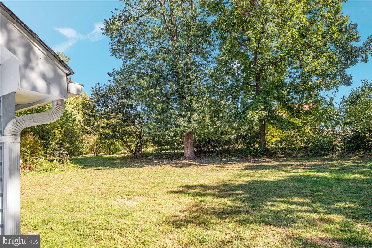 1666 APPLE PIE RIDGE RD., WINCHESTER, Virginia 22603, 2 Bedrooms Bedrooms, ,1 BathroomBathrooms,Residential,For sale,1666 APPLE PIE RIDGE RD.,VAFV2037306 MLS # VAFV2037306