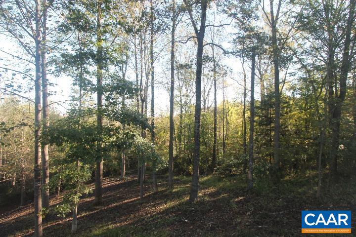 TBD BATESVILLE RD, AFTON, Virginia 22920, 1 Bedroom Bedrooms, ,Residential,For sale,TBD BATESVILLE RD,669939 MLS # 669939