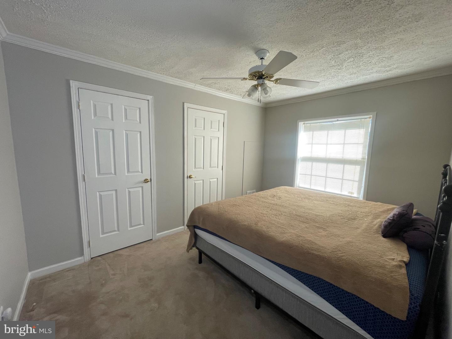 3151 WALDROP CHURCH RD, LOUISA, Virginia 23093, 3 Bedrooms Bedrooms, 6 Rooms Rooms,2 BathroomsBathrooms,Residential,For sale,3151 WALDROP CHURCH RD,VALA2008672 MLS # VALA2008672