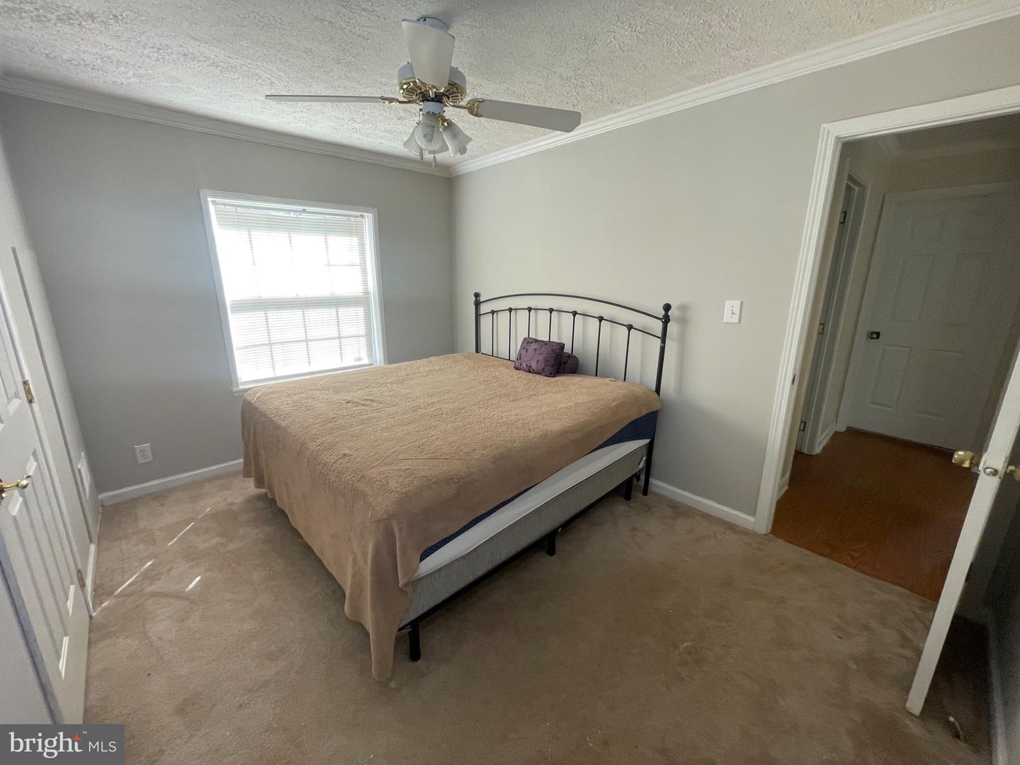 3151 WALDROP CHURCH RD, LOUISA, Virginia 23093, 3 Bedrooms Bedrooms, 6 Rooms Rooms,2 BathroomsBathrooms,Residential,For sale,3151 WALDROP CHURCH RD,VALA2008672 MLS # VALA2008672