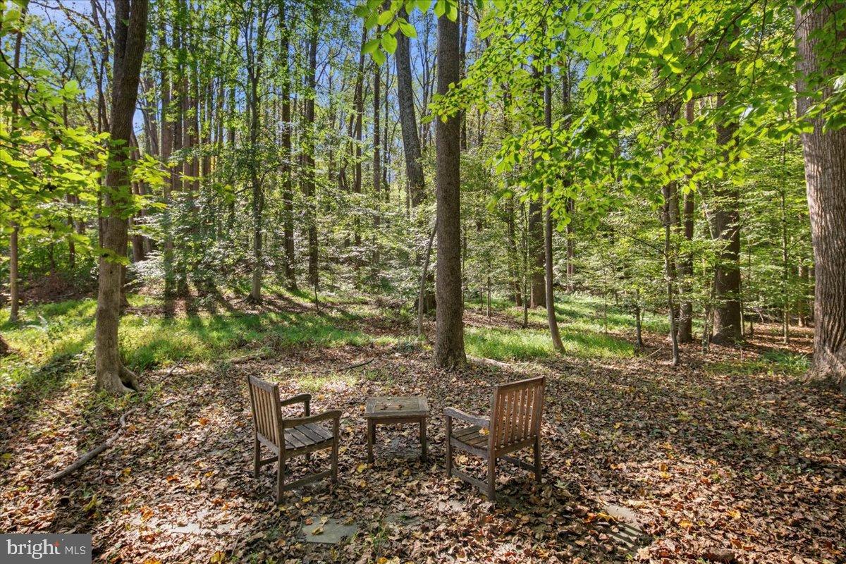 7308 BLUE DAN LN, CLIFTON, Virginia 20124, 7 Bedrooms Bedrooms, ,6 BathroomsBathrooms,Residential,For sale,7308 BLUE DAN LN,VAFX2272694 MLS # VAFX2272694