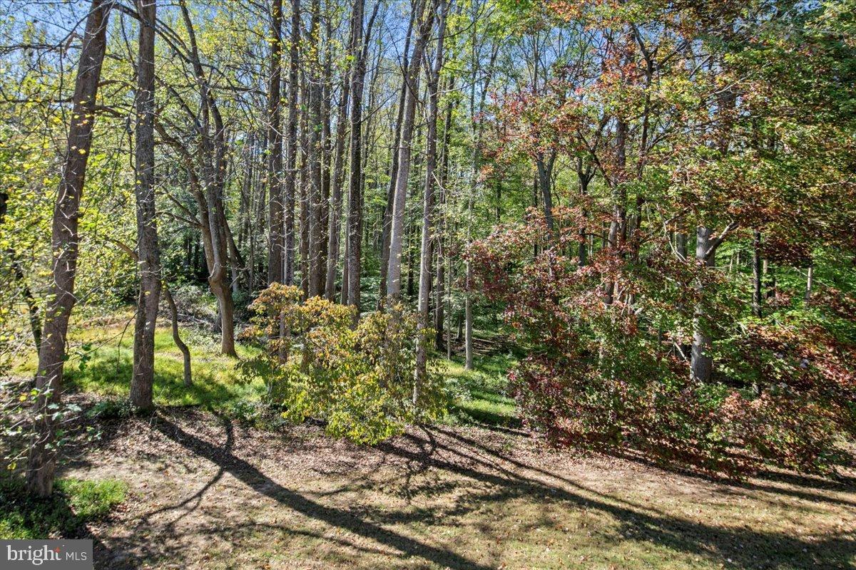 7308 BLUE DAN LN, CLIFTON, Virginia 20124, 7 Bedrooms Bedrooms, ,6 BathroomsBathrooms,Residential,For sale,7308 BLUE DAN LN,VAFX2272694 MLS # VAFX2272694