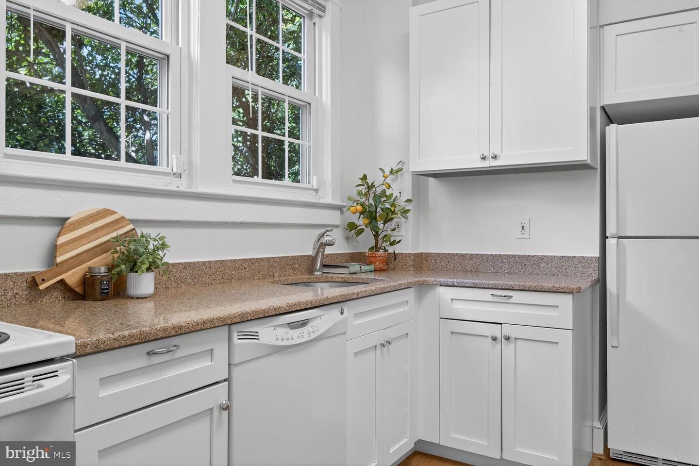 4209 ELLICOTT ST NW, WASHINGTON, District Of Columbia 20016, 3 Bedrooms Bedrooms, ,4 BathroomsBathrooms,Residential,For sale,4209 ELLICOTT ST NW,DCDC2225944 MLS # DCDC2225944