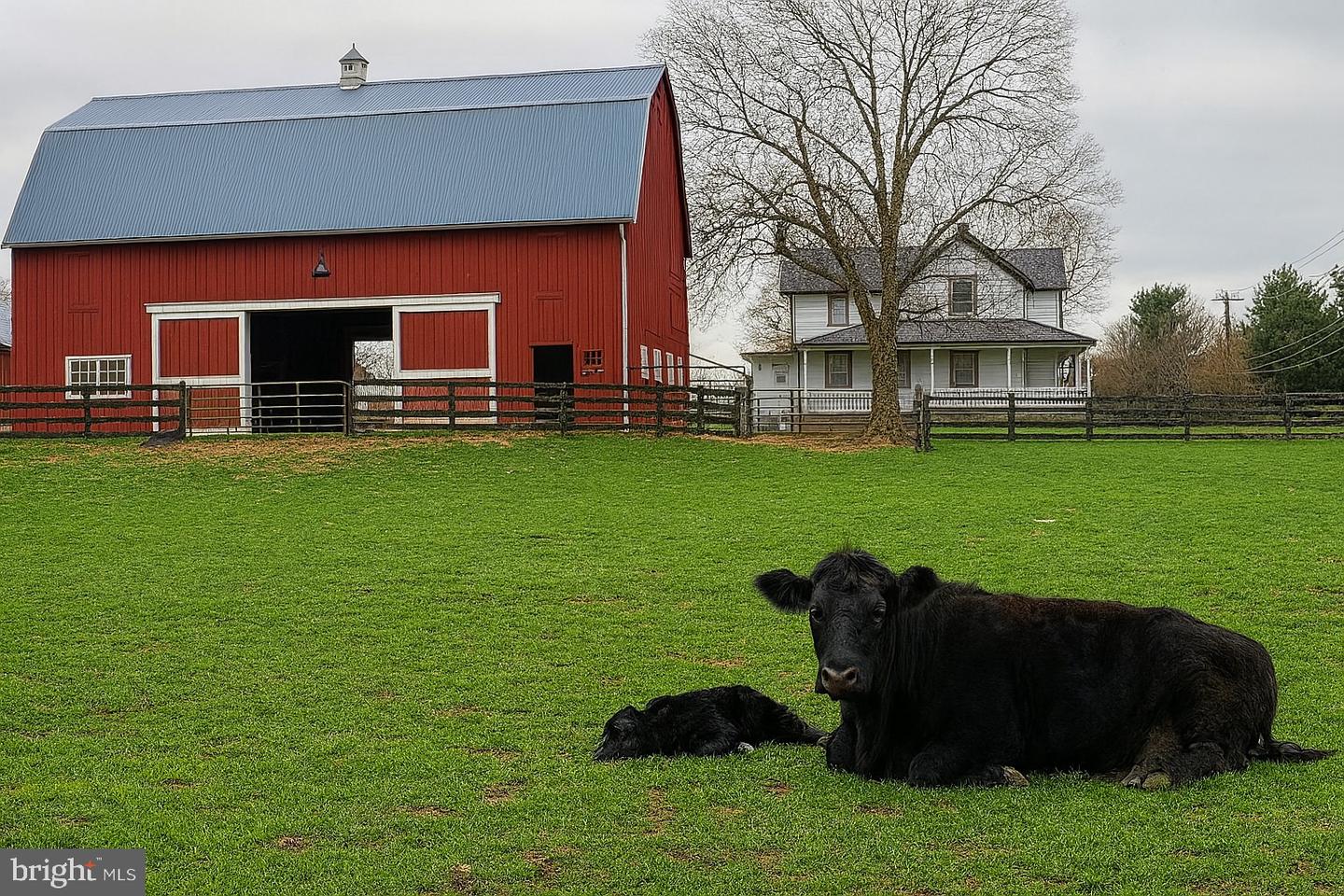 2410 DAKOTA LAKES DR, HERNDON, Virginia 20171, 5 Bedrooms Bedrooms, ,3 BathroomsBathrooms,Residential,For sale,2410 DAKOTA LAKES DR,VAFX2273354 MLS # VAFX2273354