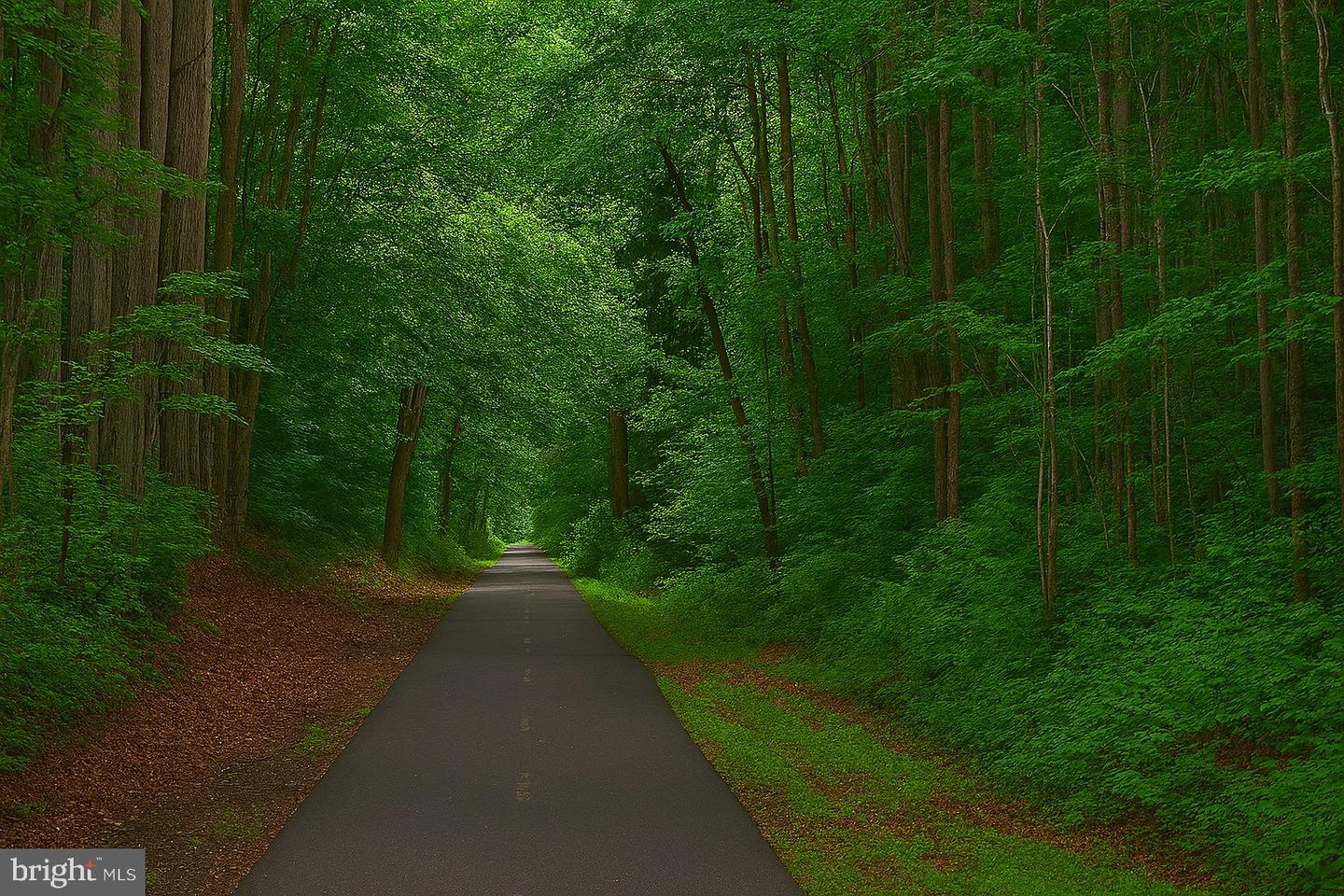 2410 DAKOTA LAKES DR, HERNDON, Virginia 20171, 5 Bedrooms Bedrooms, ,3 BathroomsBathrooms,Residential,For sale,2410 DAKOTA LAKES DR,VAFX2273354 MLS # VAFX2273354