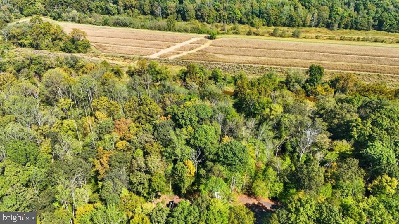 14 MECHUNK TER, PALMYRA, Virginia 22963, ,Land,For sale,14 MECHUNK TER,VAFN2000506 MLS # VAFN2000506
