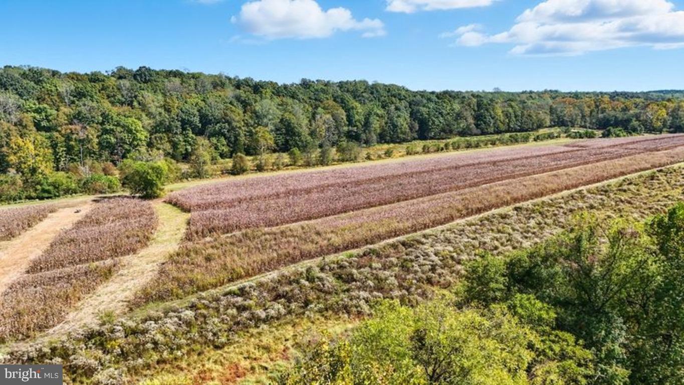 14 MECHUNK TER, PALMYRA, Virginia 22963, ,Land,For sale,14 MECHUNK TER,VAFN2000506 MLS # VAFN2000506