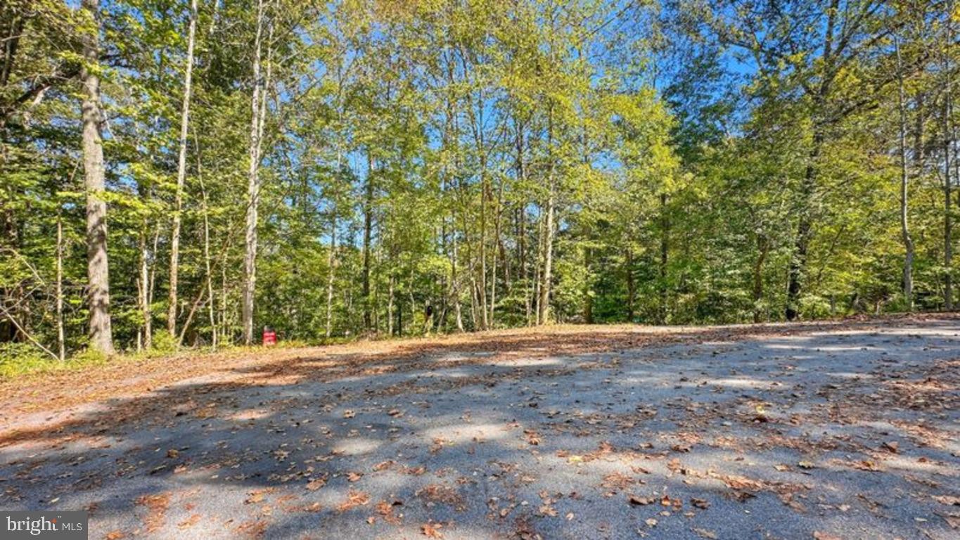 14 MECHUNK TER, PALMYRA, Virginia 22963, ,Land,For sale,14 MECHUNK TER,VAFN2000506 MLS # VAFN2000506