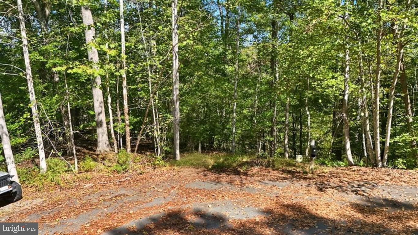 14 MECHUNK TER, PALMYRA, Virginia 22963, ,Land,For sale,14 MECHUNK TER,VAFN2000506 MLS # VAFN2000506