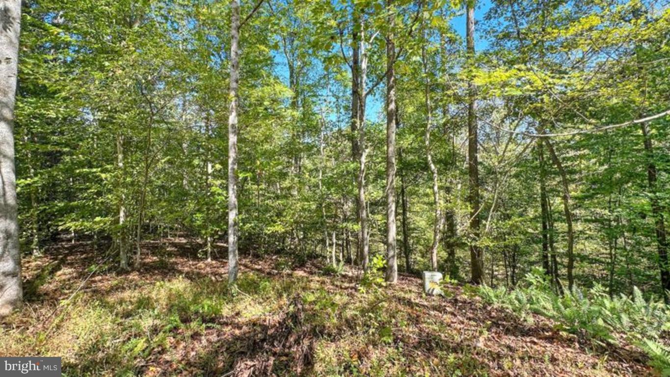 14 MECHUNK TER, PALMYRA, Virginia 22963, ,Land,For sale,14 MECHUNK TER,VAFN2000506 MLS # VAFN2000506