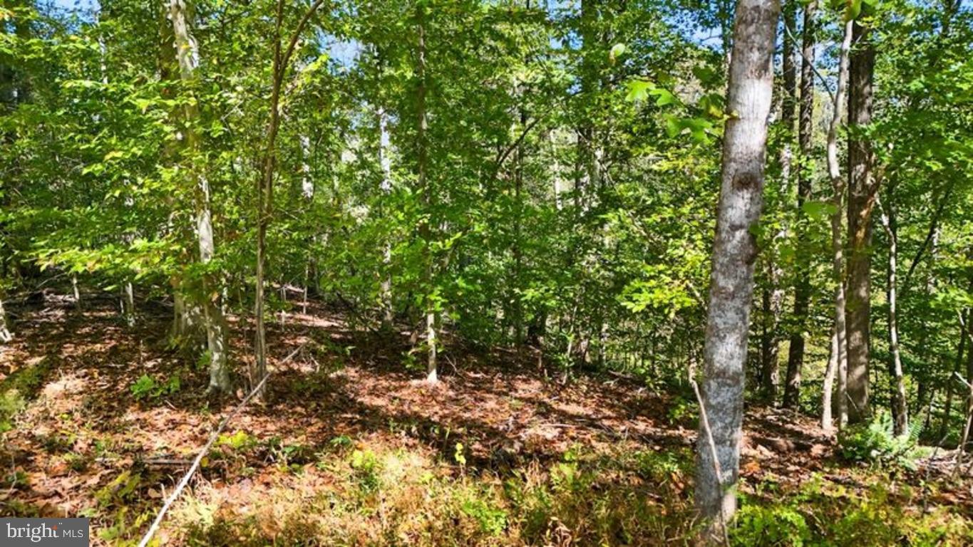 14 MECHUNK TER, PALMYRA, Virginia 22963, ,Land,For sale,14 MECHUNK TER,VAFN2000506 MLS # VAFN2000506