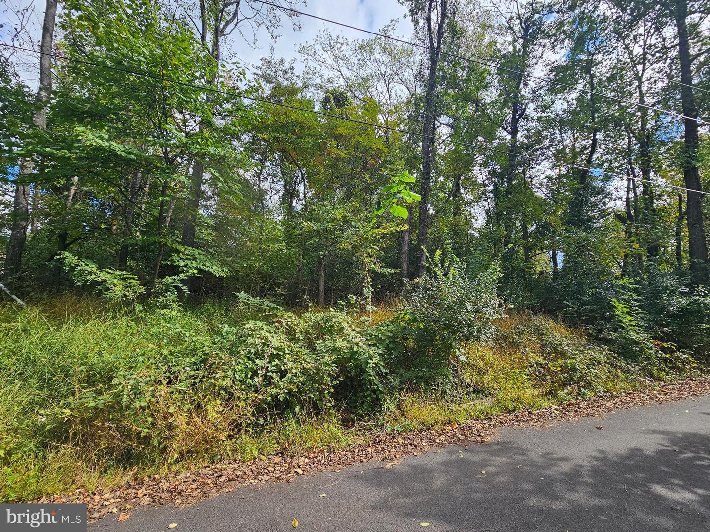 PANORAMIC LN, FRONT ROYAL, Virginia 22630, ,Land,For sale,PANORAMIC LN,VAWR2012508 MLS # VAWR2012508