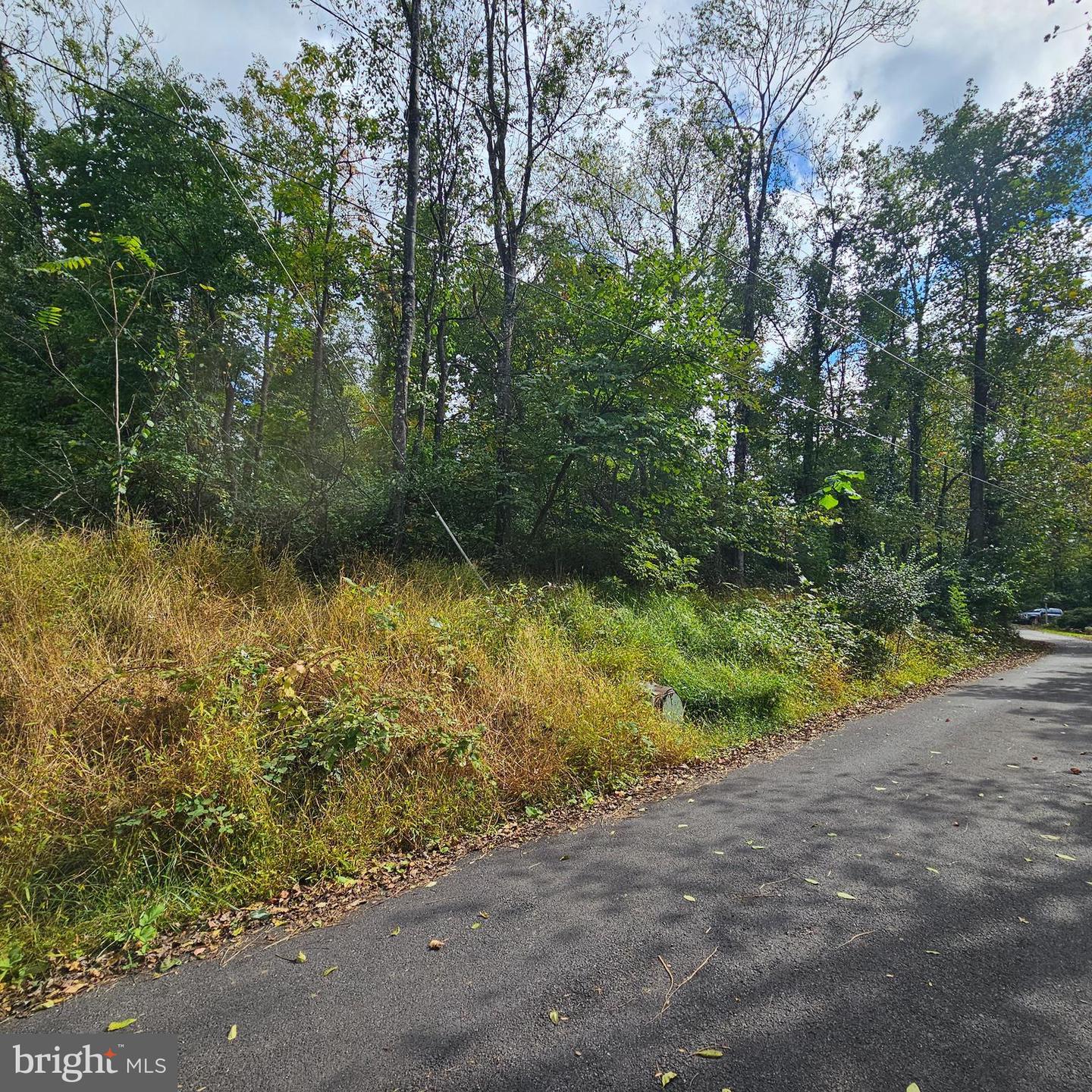 PANORAMIC LN, FRONT ROYAL, Virginia 22630, ,Land,For sale,PANORAMIC LN,VAWR2012508 MLS # VAWR2012508