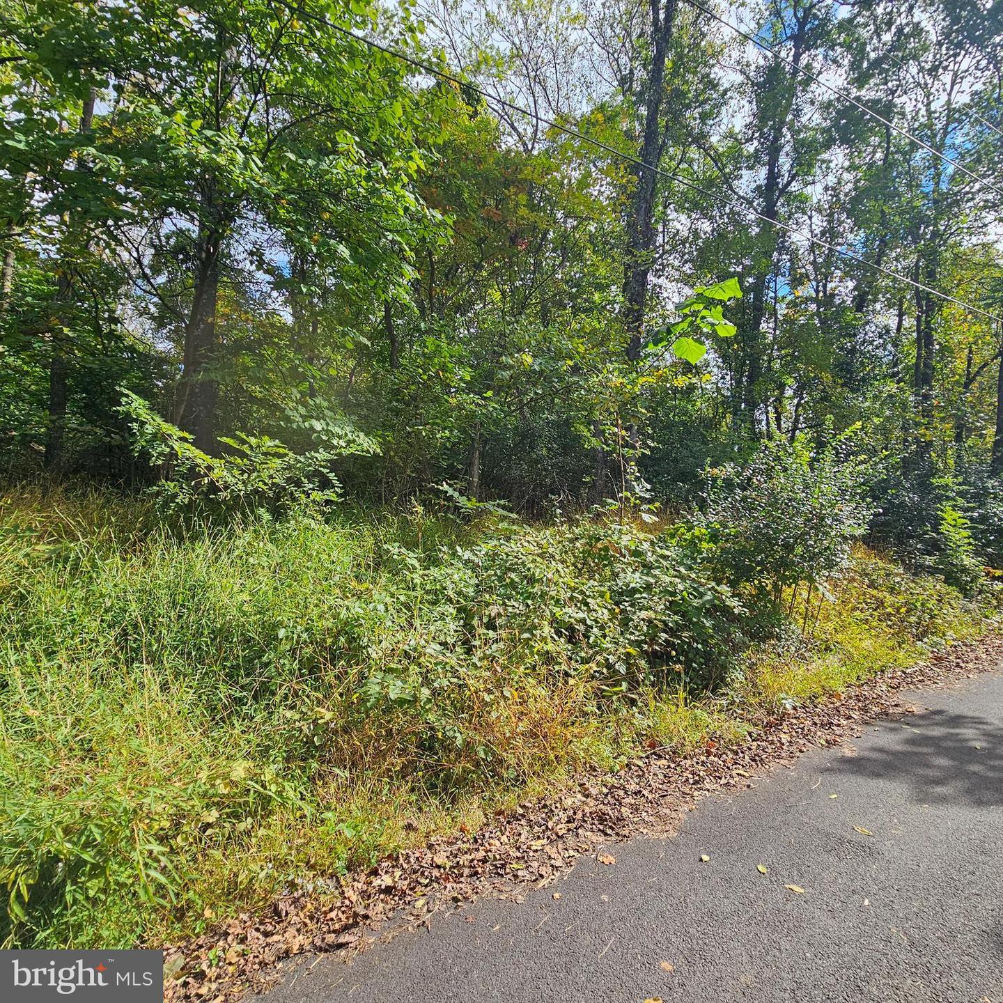 PANORAMIC LN, FRONT ROYAL, Virginia 22630, ,Land,For sale,PANORAMIC LN,VAWR2012508 MLS # VAWR2012508