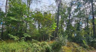 PANORAMIC LN, FRONT ROYAL, Virginia 22630, ,Land,For sale,PANORAMIC LN,VAWR2012508 MLS # VAWR2012508