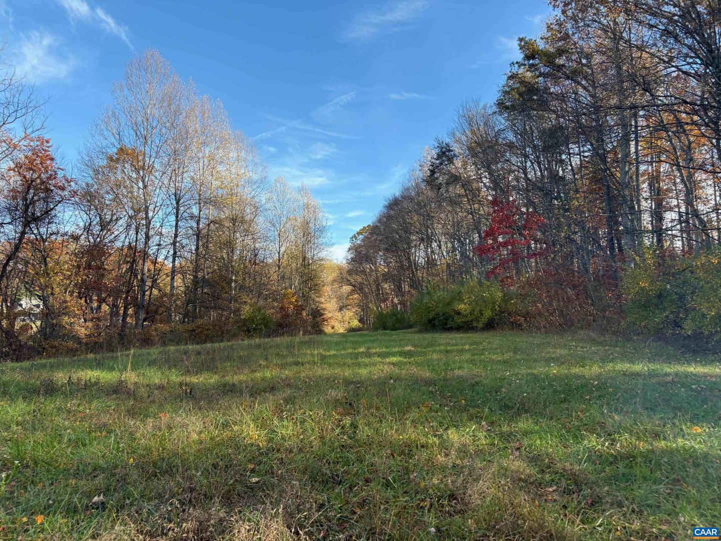 LOT D, TM 24-30 W HOOVER RD #D, REVA, Virginia 22735, ,Land,For sale,LOT D, TM 24-30 W HOOVER RD #D,669990 MLS # 669990