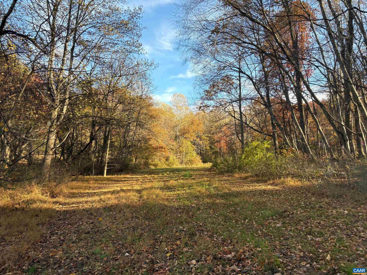 LOT D, TM 24-30 W HOOVER RD #D, REVA, Virginia 22735, ,Land,For sale,LOT D, TM 24-30 W HOOVER RD #D,669990 MLS # 669990