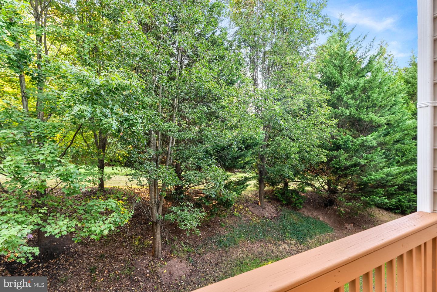 20368 CENTER BROOK SQ, STERLING, Virginia 20165, 3 Bedrooms Bedrooms, ,2 BathroomsBathrooms,Residential,For sale,20368 CENTER BROOK SQ,VALO2108386 MLS # VALO2108386