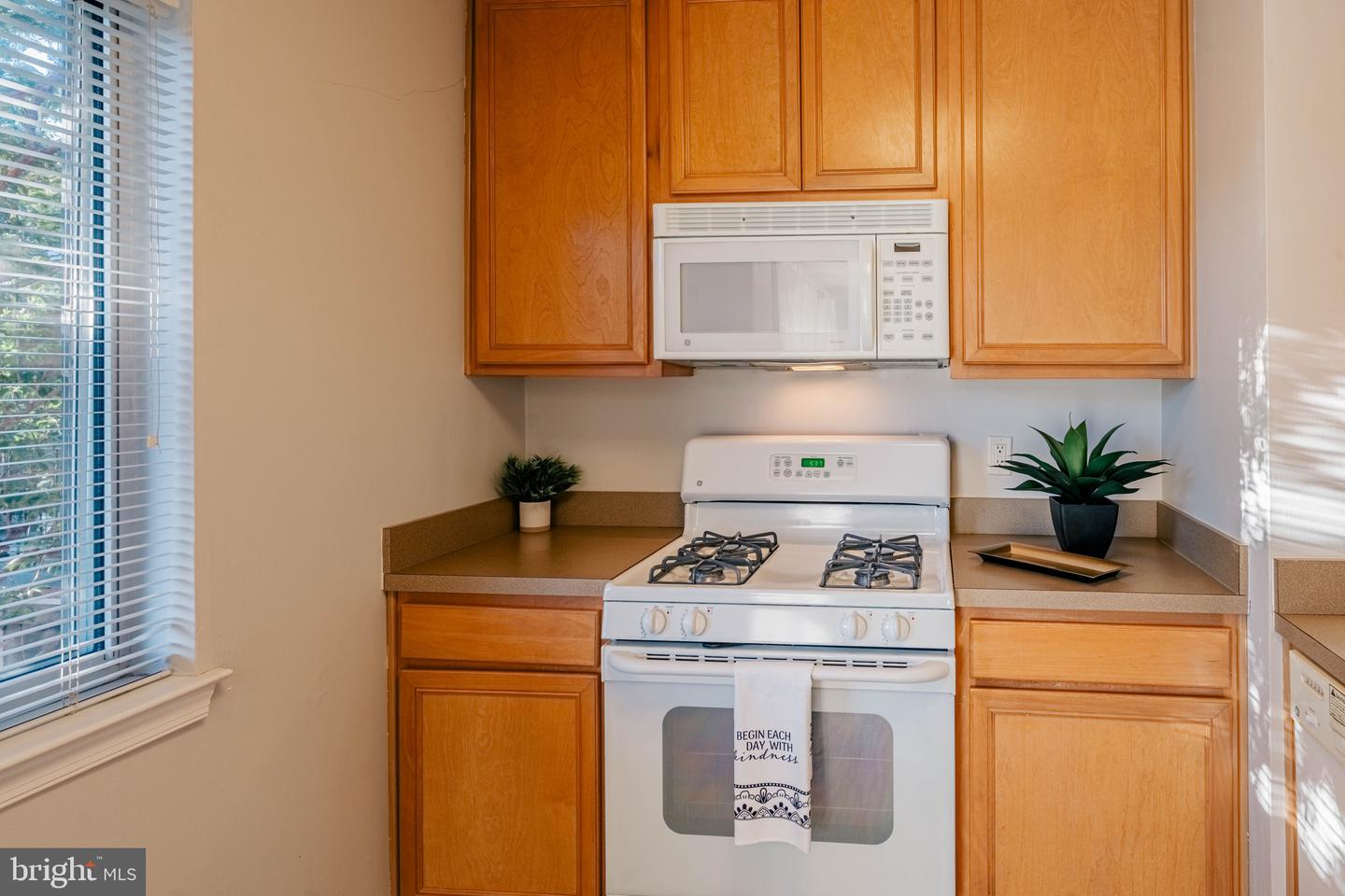 1805 WILLIAM ST #209C, FREDERICKSBURG, Virginia 22401, 1 Bedroom Bedrooms, ,1 BathroomBathrooms,Residential,For sale,1805 WILLIAM ST #209C,VAFB2009082 MLS # VAFB2009082
