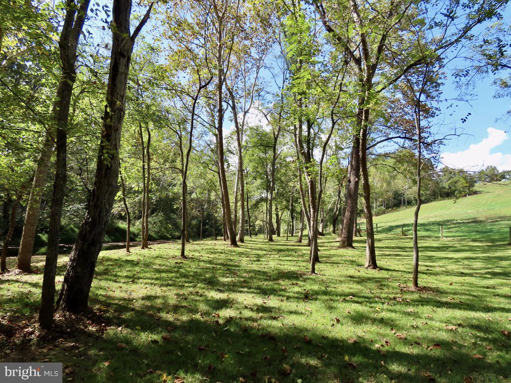 180 FIVE FORKS RD, WOODVILLE, Virginia 22749, 1 Bedroom Bedrooms, ,Residential,For sale,180 FIVE FORKS RD,VARP2002326 MLS # VARP2002326