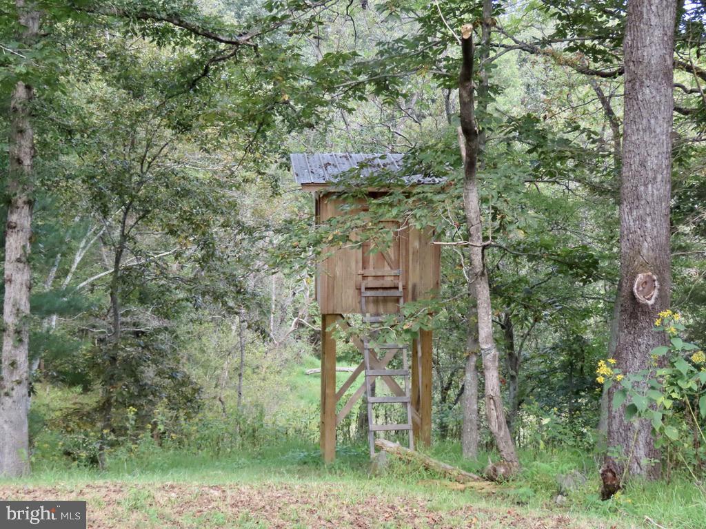 180 FIVE FORKS RD, WOODVILLE, Virginia 22749, 1 Bedroom Bedrooms, ,Residential,For sale,180 FIVE FORKS RD,VARP2002326 MLS # VARP2002326