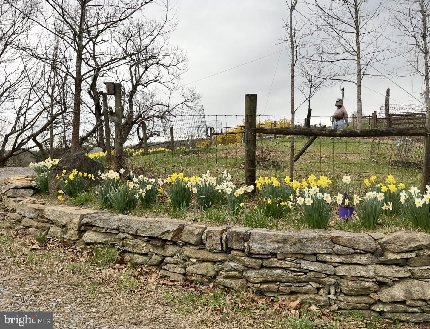 180 FIVE FORKS RD, WOODVILLE, Virginia 22749, 1 Bedroom Bedrooms, ,Residential,For sale,180 FIVE FORKS RD,VARP2002326 MLS # VARP2002326