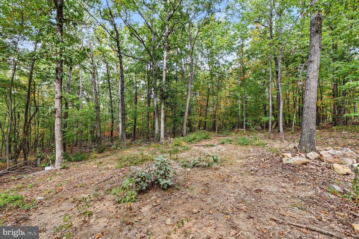 55 MOUNTAIN TOP LN, NEW MARKET, Virginia 22844, 2 Bedrooms Bedrooms, 3 Rooms Rooms,1 BathroomBathrooms,Residential,For sale,55 MOUNTAIN TOP LN,VASH2012774 MLS # VASH2012774