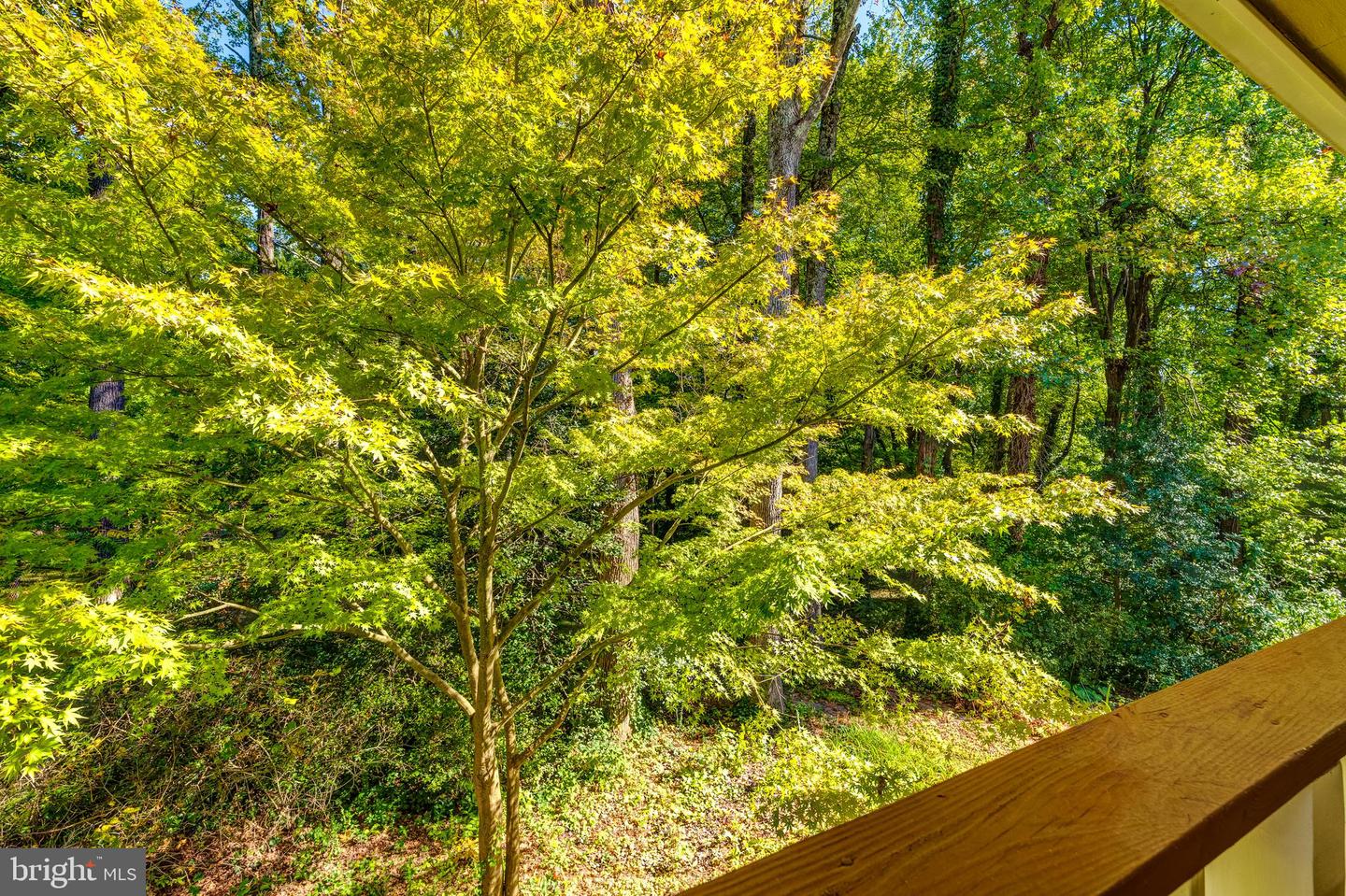 8817 GATESHEAD RD, ALEXANDRIA, Virginia 22309, 4 Bedrooms Bedrooms, ,4 BathroomsBathrooms,Residential,For sale,8817 GATESHEAD RD,VAFX2273778 MLS # VAFX2273778