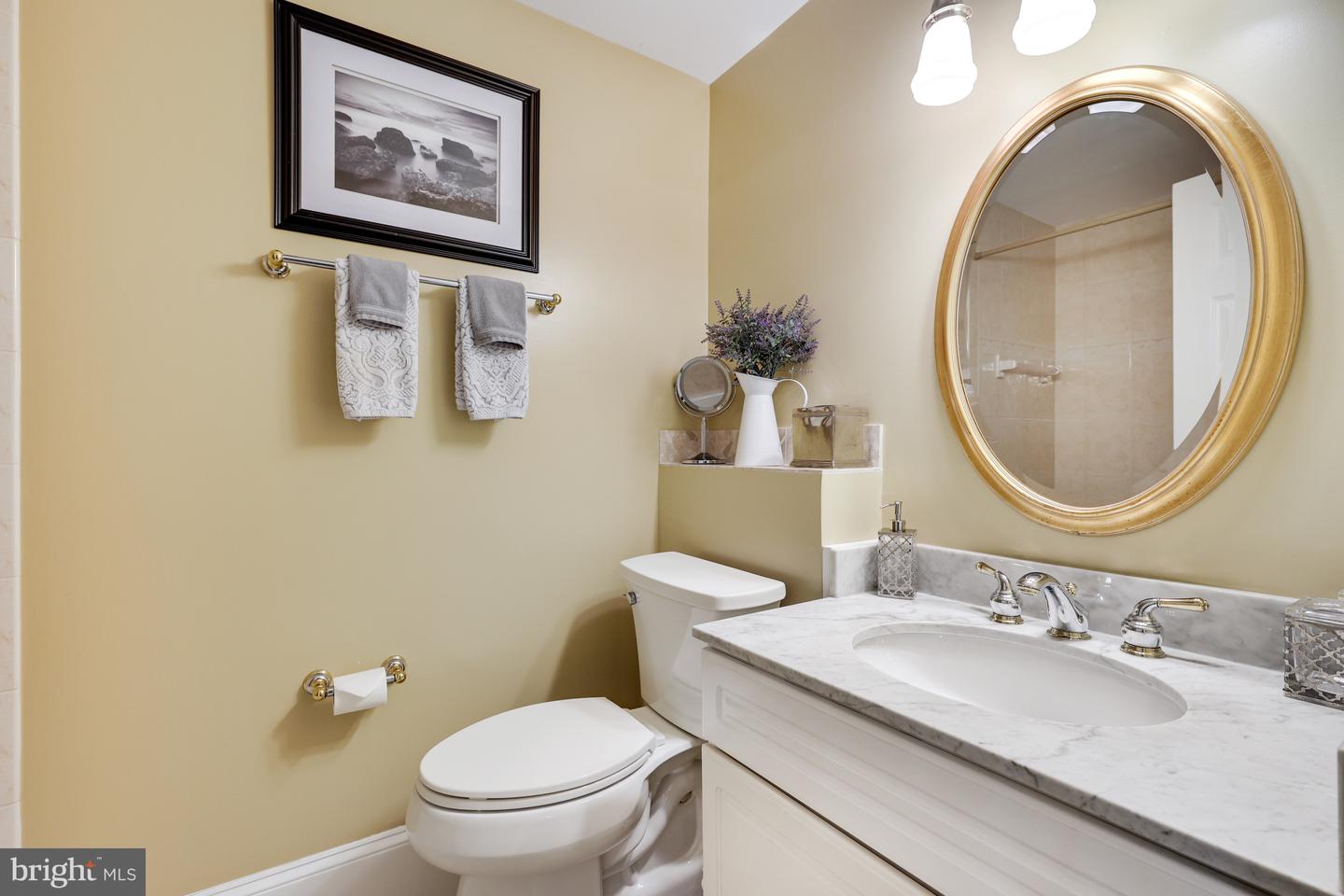 841 LEIGH MILL ROAD, GREAT FALLS, Virginia 22066, 5 Bedrooms Bedrooms, ,4 BathroomsBathrooms,Residential,For sale,841 LEIGH MILL ROAD,VAFX2273794 MLS # VAFX2273794