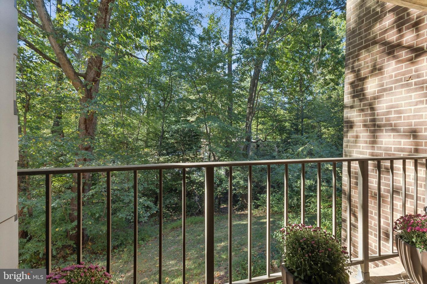 1413 NORTHGATE SQ #13/12B, RESTON, Virginia 20190, 2 Bedrooms Bedrooms, ,2 BathroomsBathrooms,Residential,For sale,1413 NORTHGATE SQ #13/12B,VAFX2274112 MLS # VAFX2274112 1413 NORTHGATE SQ #13/12B, RESTON, Virginia 20190, 2 Bedrooms Bedrooms, ,2 BathroomsBathrooms,Residential,For sale,1413 NORTHGATE SQ #13/12B,VAFX2274112 MLS # VAFX2274112