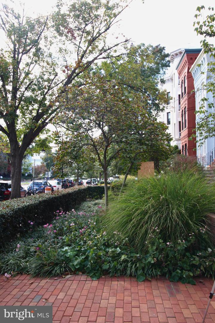 238 MARYLAND AVE NE #B, WASHINGTON, District Of Columbia 20002, 3 Bedrooms Bedrooms, ,2 BathroomsBathrooms,Residential,For sale,238 MARYLAND AVE NE #B,DCDC2227030 MLS # DCDC2227030 238 MARYLAND AVE NE #B, WASHINGTON, District Of Columbia 20002, 3 Bedrooms Bedrooms, ,2 BathroomsBathrooms,Residential,For sale,238 MARYLAND AVE NE #B,DCDC2227030 MLS # DCDC2227030