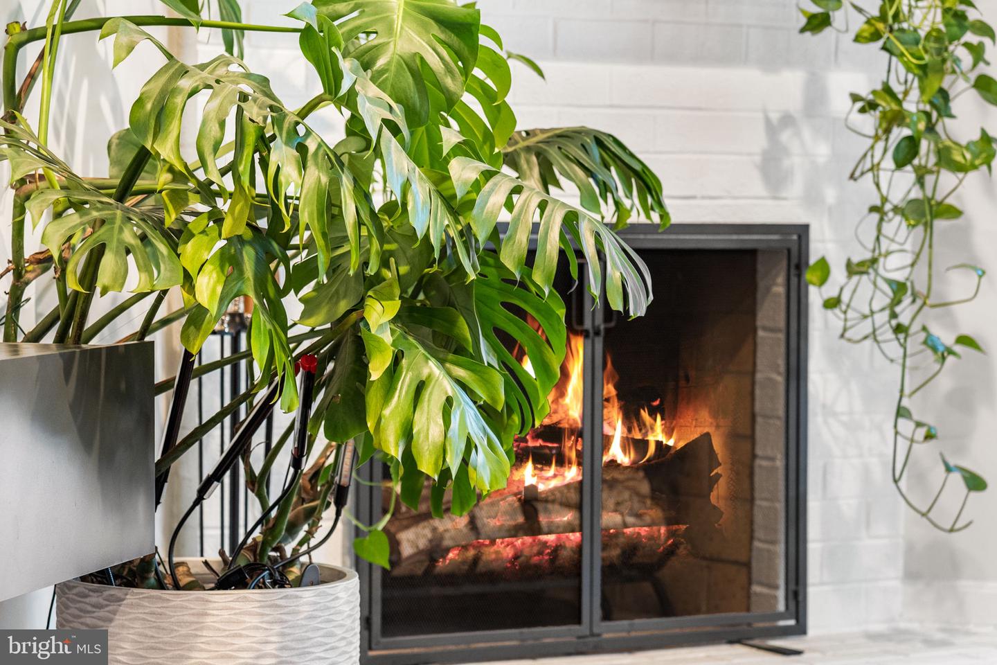 907 S ROLFE ST #1-A, ARLINGTON, Virginia 22204, 2 Bedrooms Bedrooms, ,2 BathroomsBathrooms,Residential,For sale,907 S ROLFE ST #1-A,VAAR2064872 MLS # VAAR2064872 907 S ROLFE ST #1-A, ARLINGTON, Virginia 22204, 2 Bedrooms Bedrooms, ,2 BathroomsBathrooms,Residential,For sale,907 S ROLFE ST #1-A,VAAR2064872 MLS # VAAR2064872