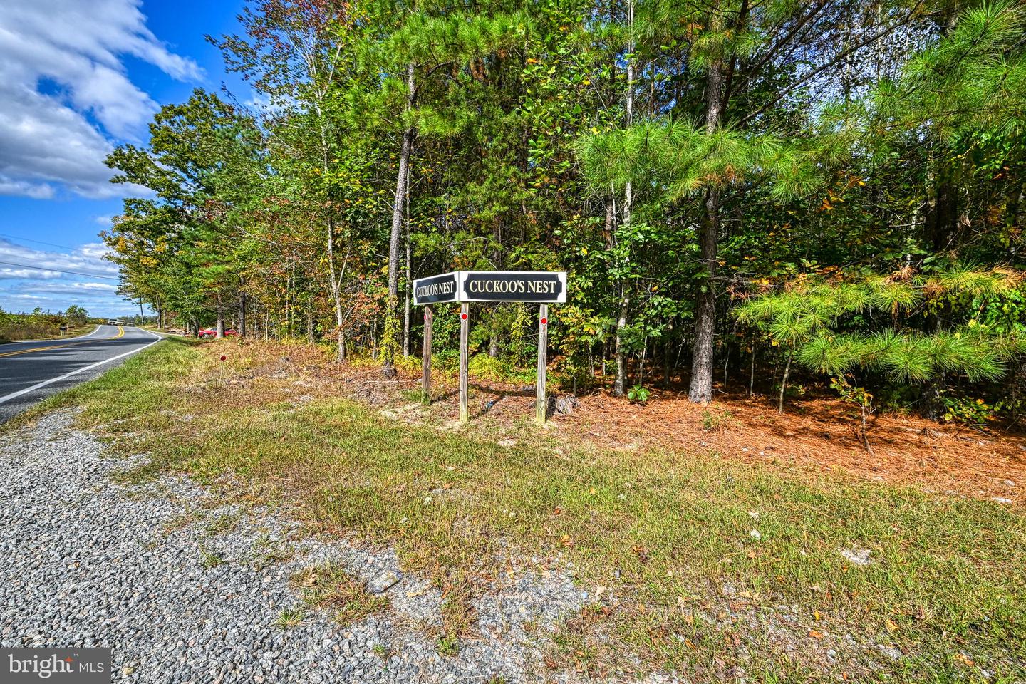 CROSS COUNTRY RD., MINERAL, Virginia 23117, ,Farm,For sale,CROSS COUNTRY RD.,VALA2008722 MLS # VALA2008722