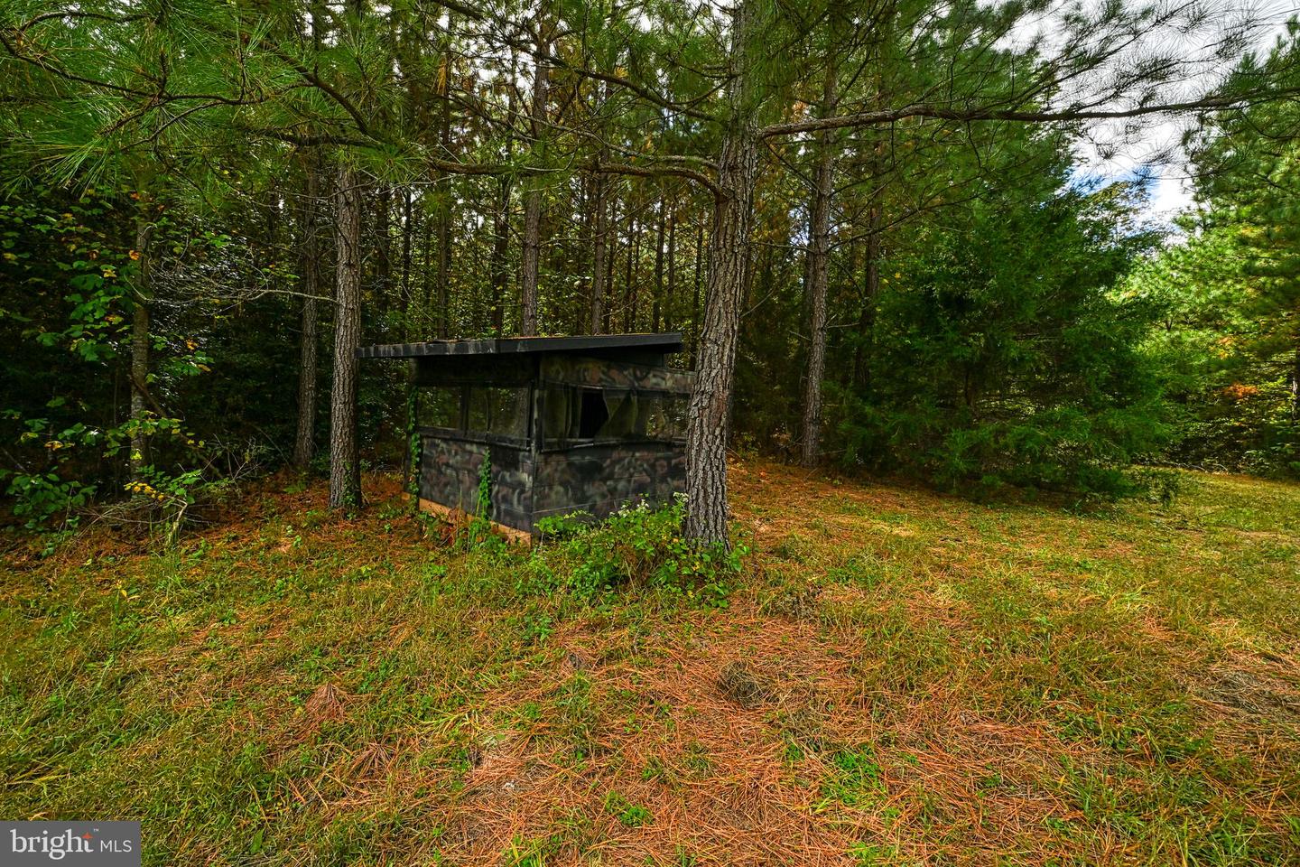 CROSS COUNTRY RD., MINERAL, Virginia 23117, ,Farm,For sale,CROSS COUNTRY RD.,VALA2008722 MLS # VALA2008722