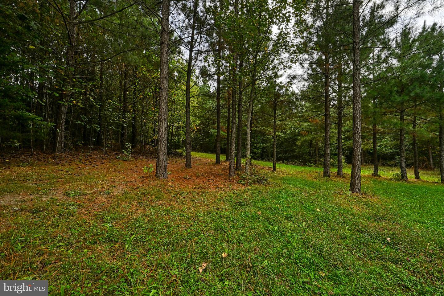 CROSS COUNTRY RD., MINERAL, Virginia 23117, ,Farm,For sale,CROSS COUNTRY RD.,VALA2008722 MLS # VALA2008722