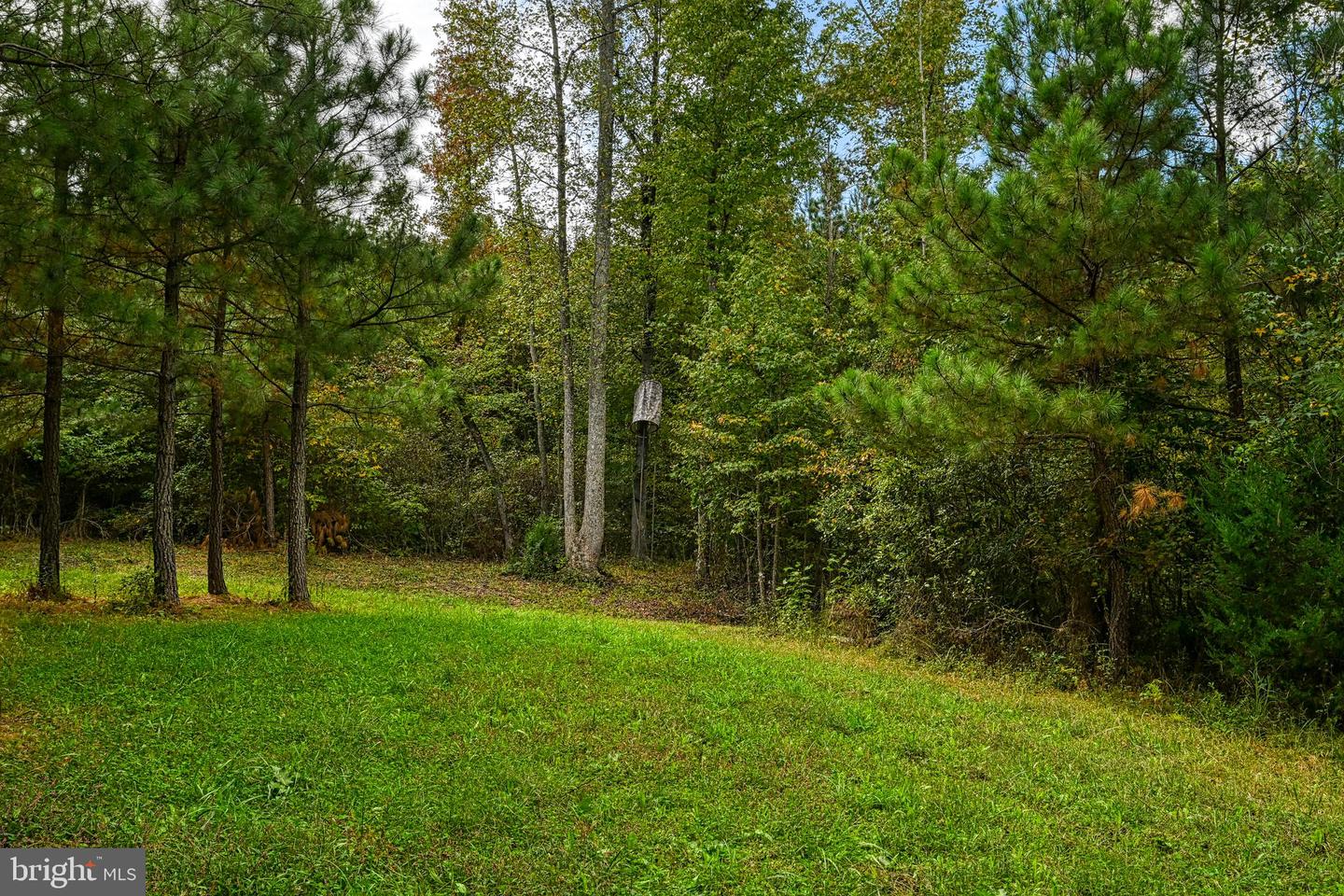 CROSS COUNTRY RD., MINERAL, Virginia 23117, ,Farm,For sale,CROSS COUNTRY RD.,VALA2008722 MLS # VALA2008722