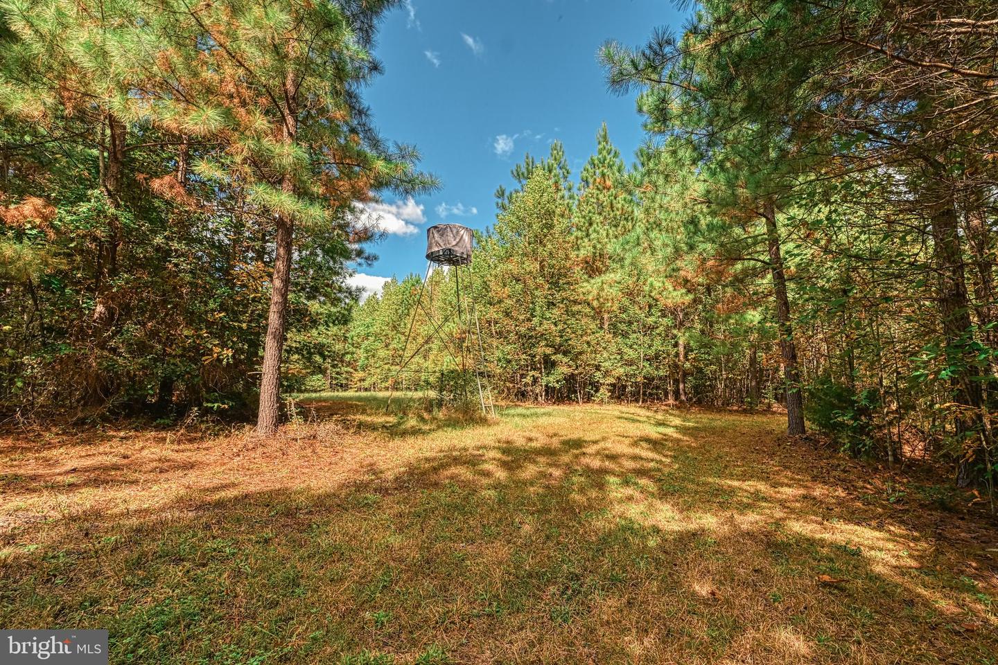 CROSS COUNTRY RD., MINERAL, Virginia 23117, ,Farm,For sale,CROSS COUNTRY RD.,VALA2008722 MLS # VALA2008722