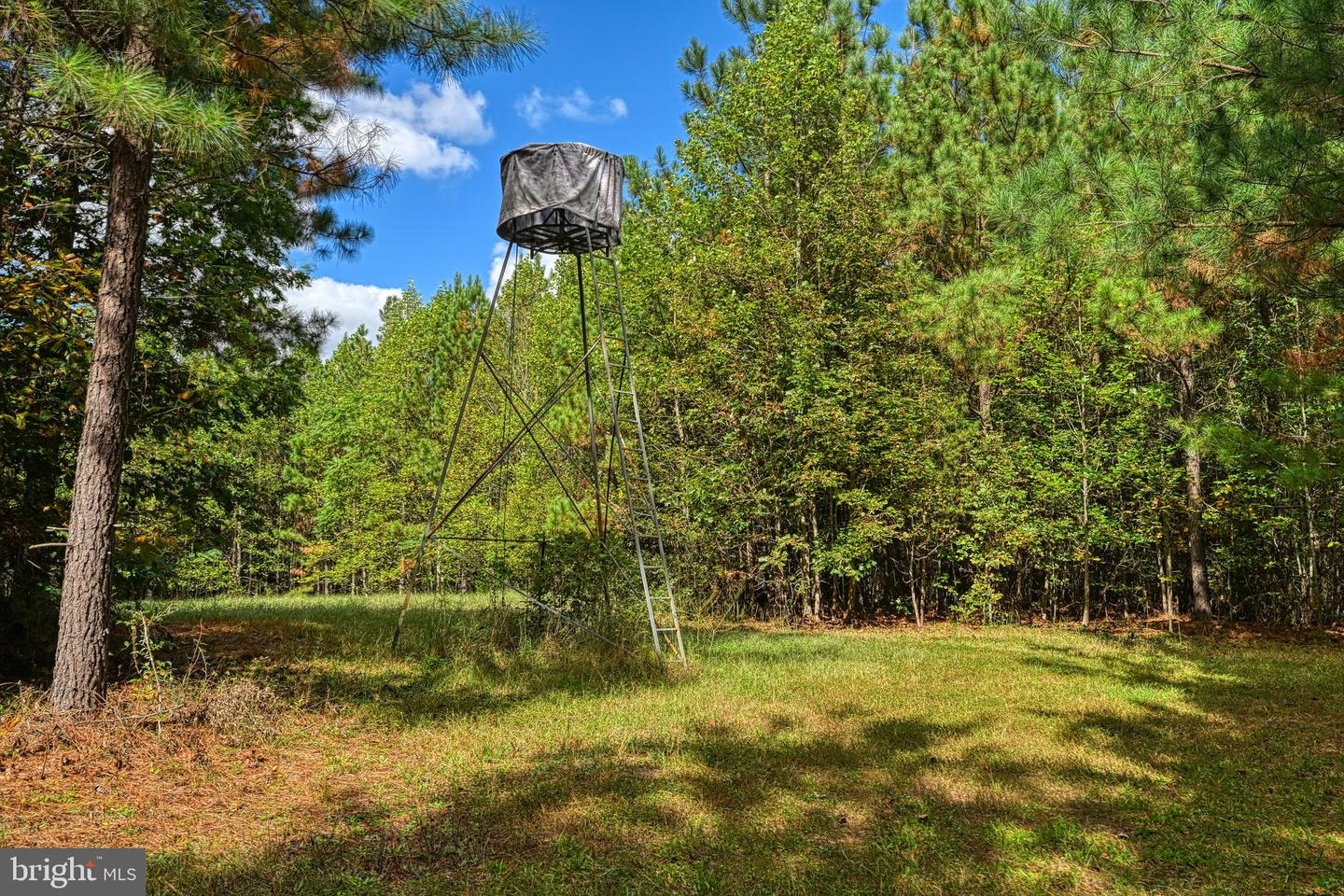 CROSS COUNTRY RD., MINERAL, Virginia 23117, ,Farm,For sale,CROSS COUNTRY RD.,VALA2008722 MLS # VALA2008722