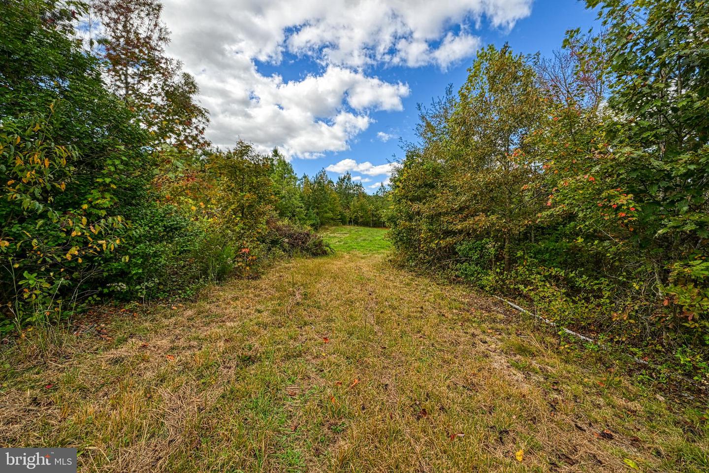 CROSS COUNTRY RD., MINERAL, Virginia 23117, ,Farm,For sale,CROSS COUNTRY RD.,VALA2008722 MLS # VALA2008722