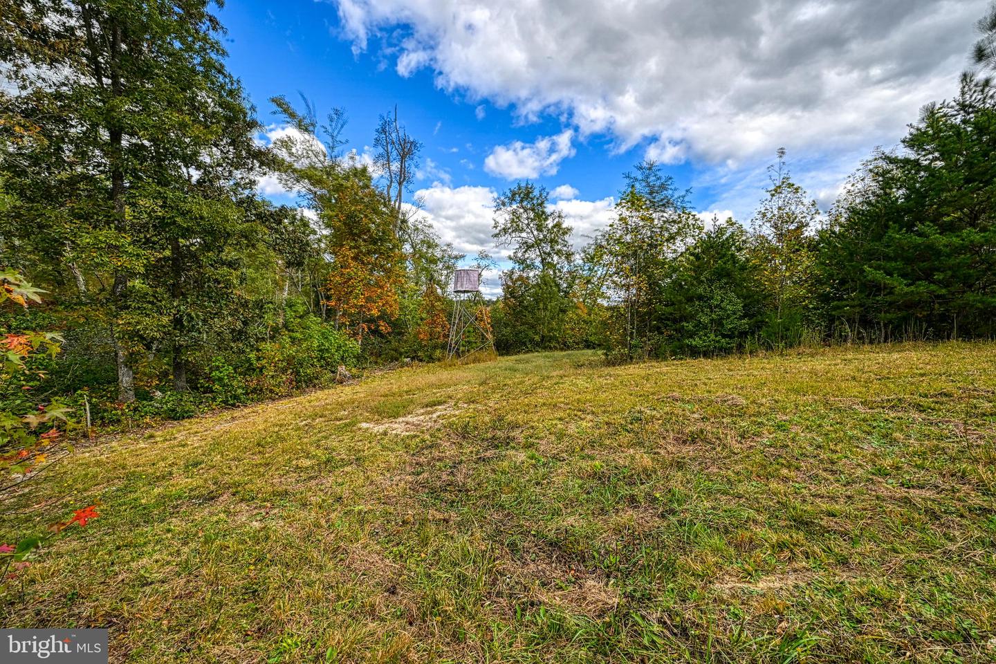 CROSS COUNTRY RD., MINERAL, Virginia 23117, ,Farm,For sale,CROSS COUNTRY RD.,VALA2008722 MLS # VALA2008722