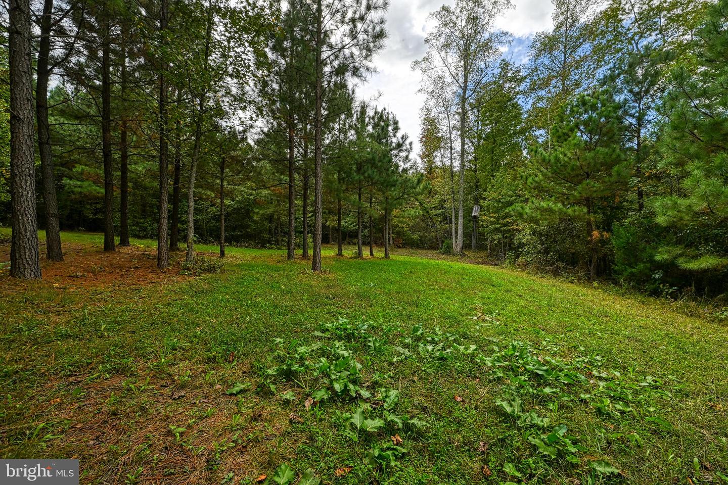 CROSS COUNTRY RD., MINERAL, Virginia 23117, ,Farm,For sale,CROSS COUNTRY RD.,VALA2008722 MLS # VALA2008722